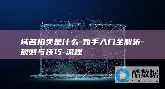域名拍卖是什么-新手入门全解析-规则与技巧-流程
