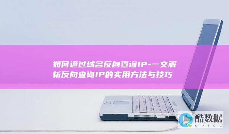 如何通过域名反向查询IP-一文解析反向查询IP的实用方法与技巧