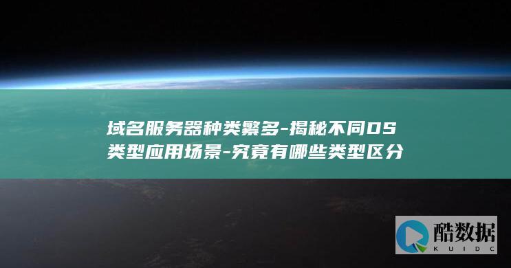 域名服务器种类繁多-揭秘不同DS类型应用场景-究竟有哪些类型区分