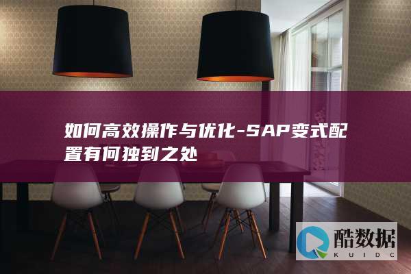 高效SAP指南