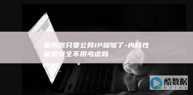 服务器只要公网IP就够了-内网性能和安全不用考虑吗