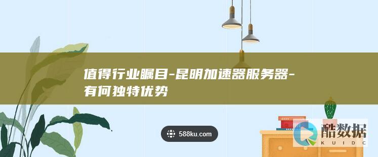 值得行业瞩目-昆明加速器服务器-有何独特优势