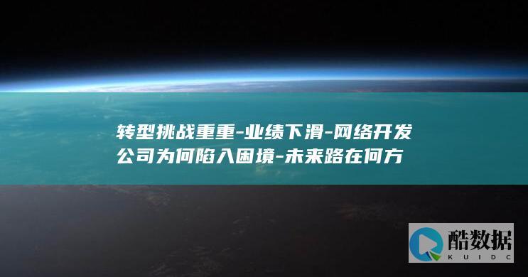 转型挑战重重-业绩下滑-网络开发公司为何陷入困境-未来路在何方