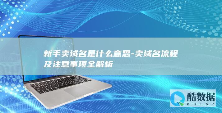 新手卖域名是什么意思-卖域名流程及注意事项全解析