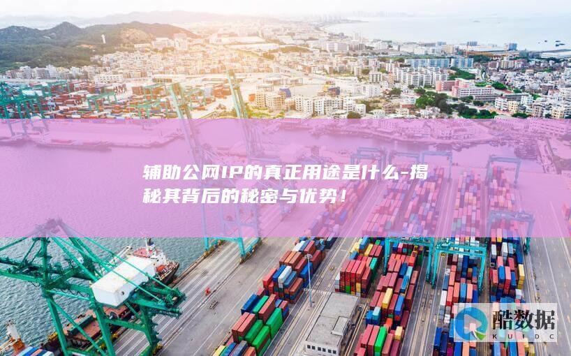 辅助公网IP的真正用途是什么-揭秘其背后的秘密与优势！