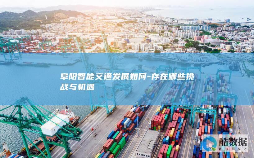 阜阳智能交通策略研究