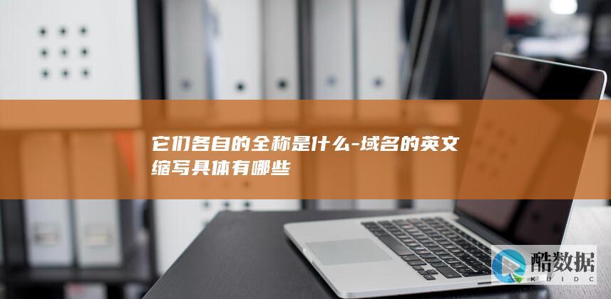 它们各自的全称是什么-域名的英文缩写具体有哪些