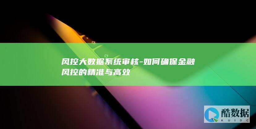 风控大数据系统审核-如何确保金融风控的精准与高效