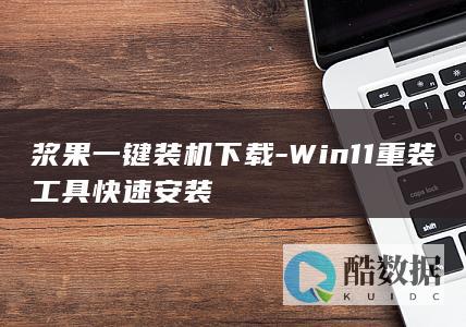 浆果一键装机下载-Win11重装工具快速安装