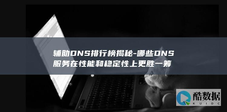 辅助DNS排行榜揭秘-哪些DNS服务在性能和稳定性上更胜一筹