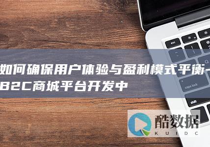 B2C商城平台用户体验与盈利平衡方案