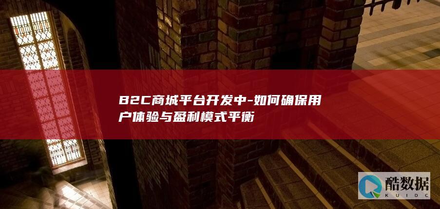 B2C商城平台开发中-如何确保用户体验与盈利模式平衡