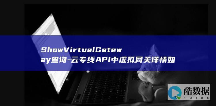 ShowVirtualGateway查询-云专线API中虚拟网关详情如何获取