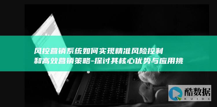 风控营销系统如何实现精准风险控制和高效营销策略-探讨其核心优势与应用挑战
