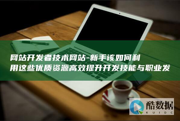 开发者技能提升技术资源网站利用与职业发展