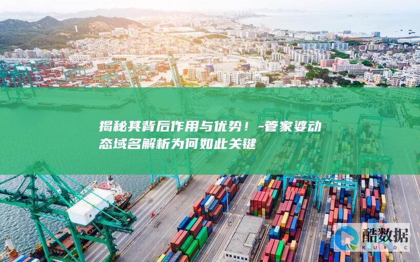 管家婆动态域名解析价值分析