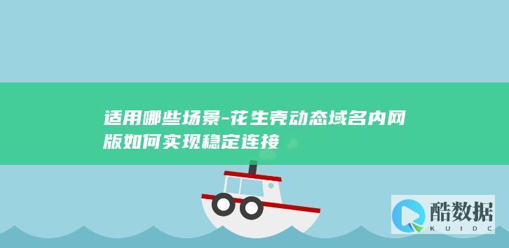 花生壳内网版连接方法