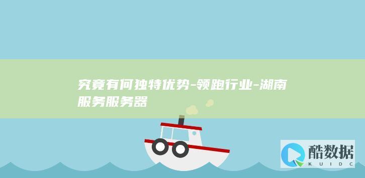 究竟有何独特优势-领跑行业-湖南服务服务器
