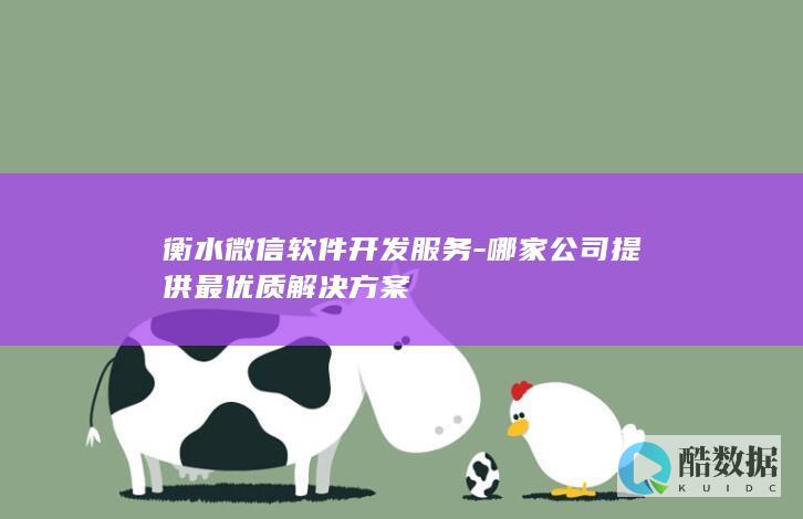 衡水微信软件开发服务-哪家公司提供最优质解决方案