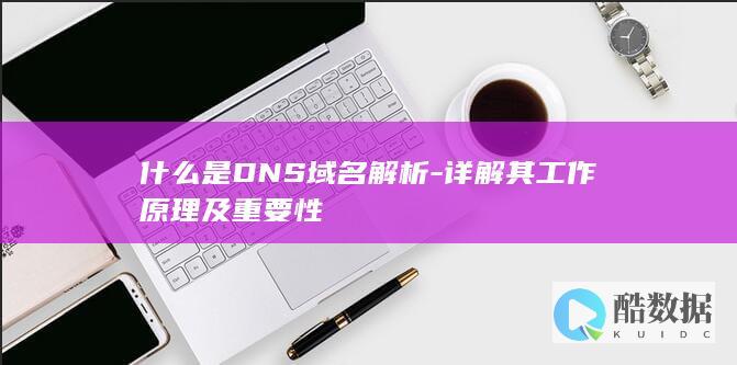 什么是DNS域名解析-详解其工作原理及重要性