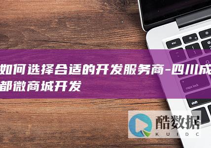 如何选择合适的开发服务商-四川成都微商城开发