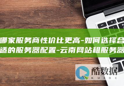 哪家服务商性价比更高-如何选择合适的服务器配置-云南网站租服务器