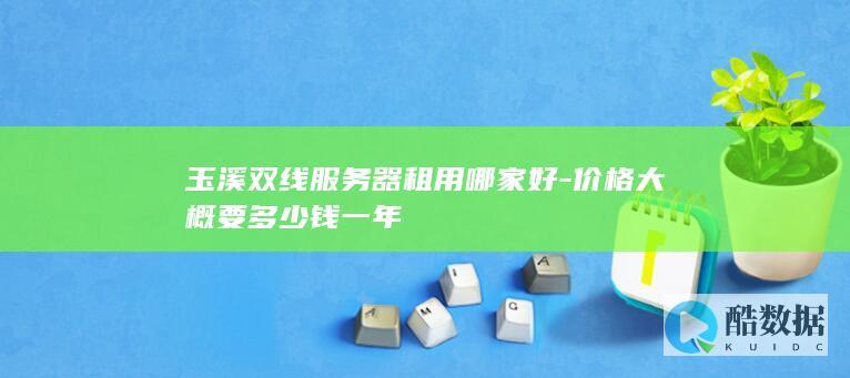 价格大概要多少钱一年