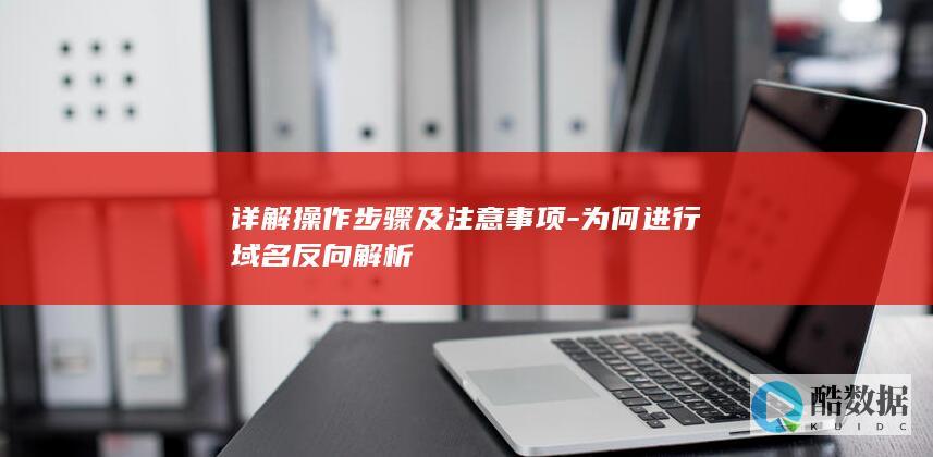 详解操作步骤及注意事项-为何进行域名反向解析