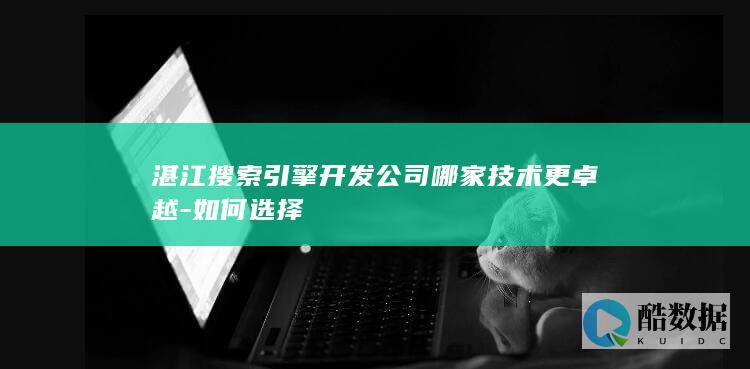 湛江开发公司哪家技术更卓越