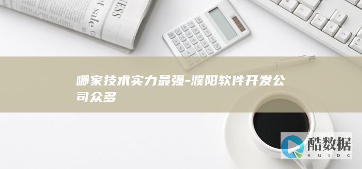 哪家技术实力最强-濮阳软件开发公司众多