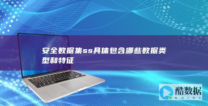 安全数据集ss具体包含哪些数据类型和特征