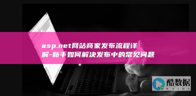 asp.net网站商家发布流程详解-新手如何解决发布中的常见问题
