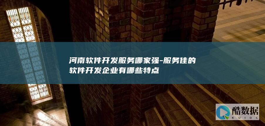 河南软件开发服务哪家强-服务佳的软件开发企业有哪些特点