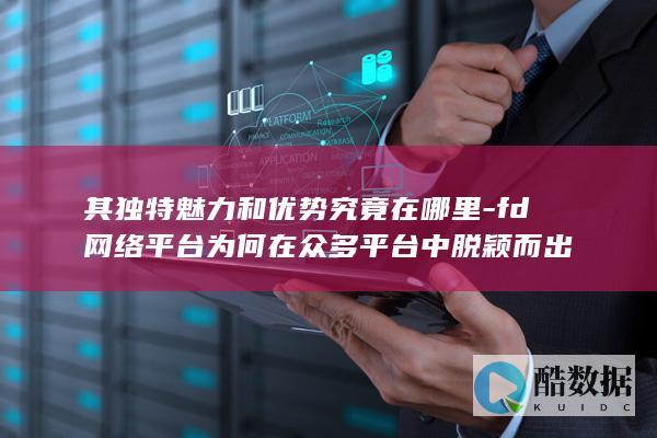 其独特魅力和优势究竟在哪里-fd网络平台为何在众多平台中脱颖而出