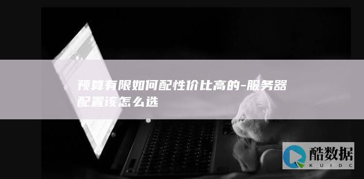 预算有限服务器配置