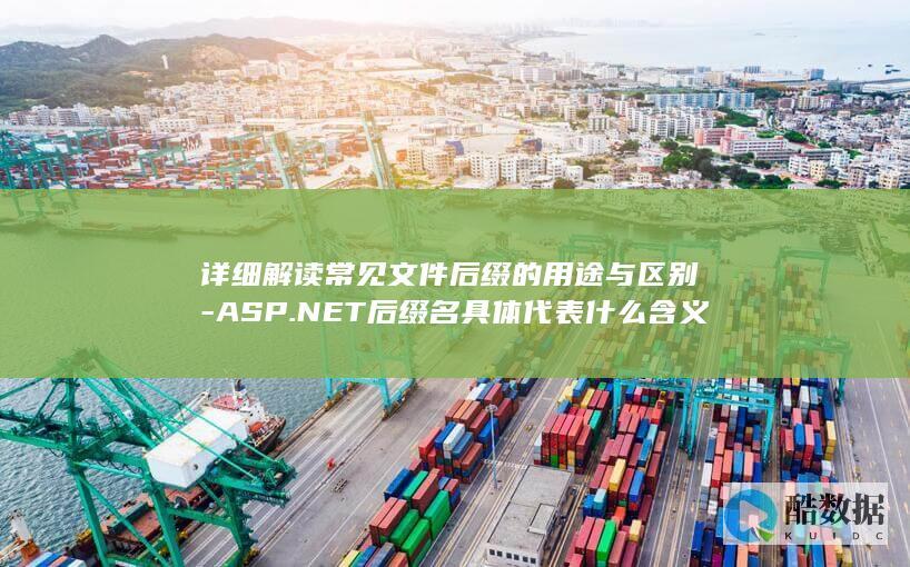 ASP.NET文件后缀解释