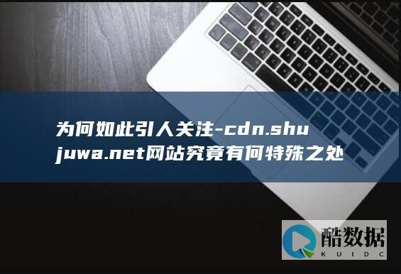 为何如此引人关注-cdn.shujuwa.net网站究竟有何特殊之处