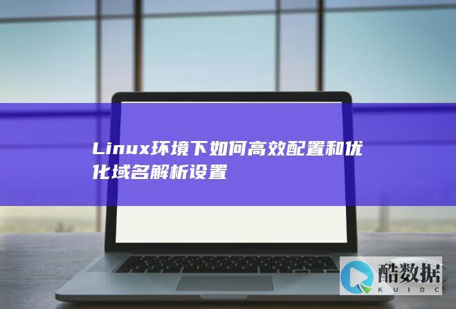 Linux环境下如何高效配置和优化域名解析设置