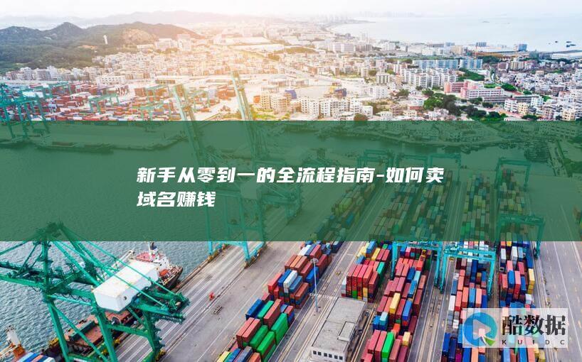 新手从零到一的全流程指南-如何卖域名赚钱