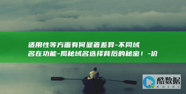 适用性等方面有何显著差异-不同域名在功能-揭秘域名选择背后的秘密！-价格