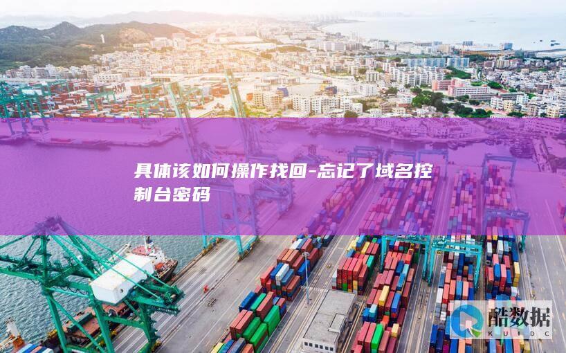 具体该如何操作找回-忘记了域名控制台密码