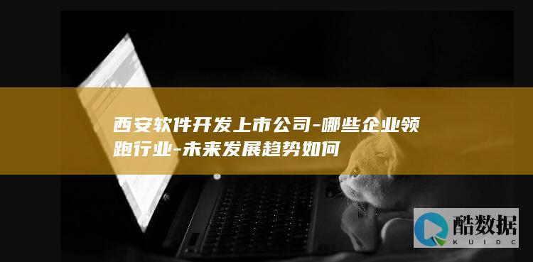 西安软件开发上市公司-哪些企业领跑行业-未来发展趋势如何