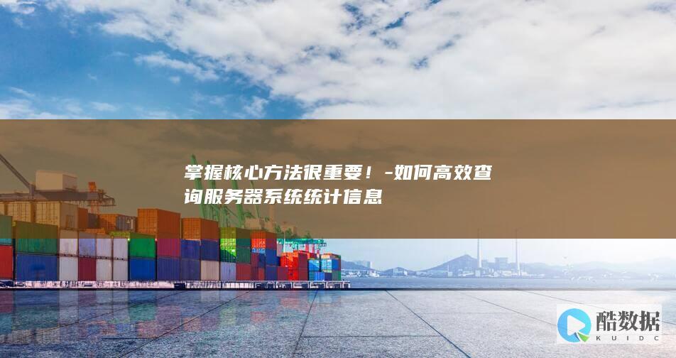 掌握核心方法很重要！-如何高效查询服务器系统统计信息