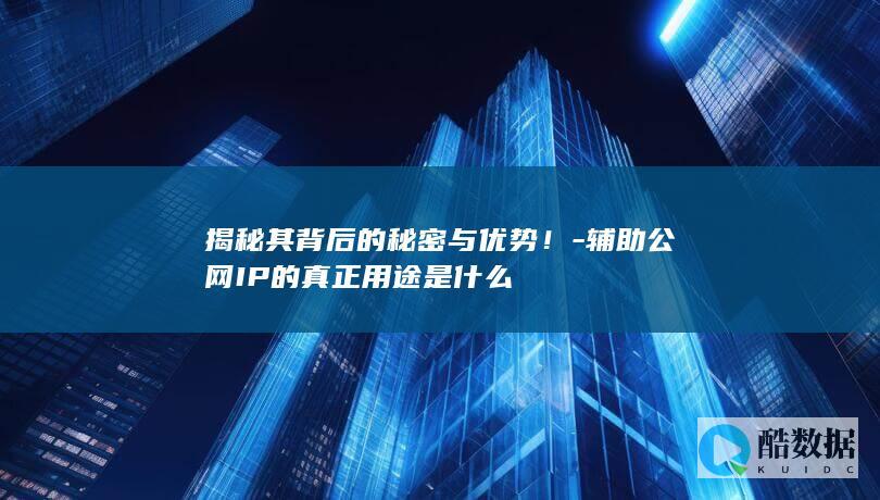 揭秘其背后的秘密与优势！-辅助公网IP的真正用途是什么