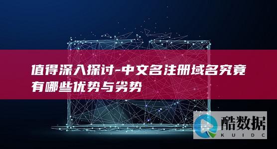 值得深入探讨-中文名注册域名究竟有哪些优势与劣势
