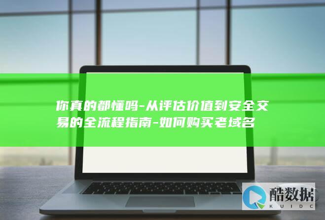 你真的都懂吗-从评估价值到安全交易的全流程指南-如何购买老域名