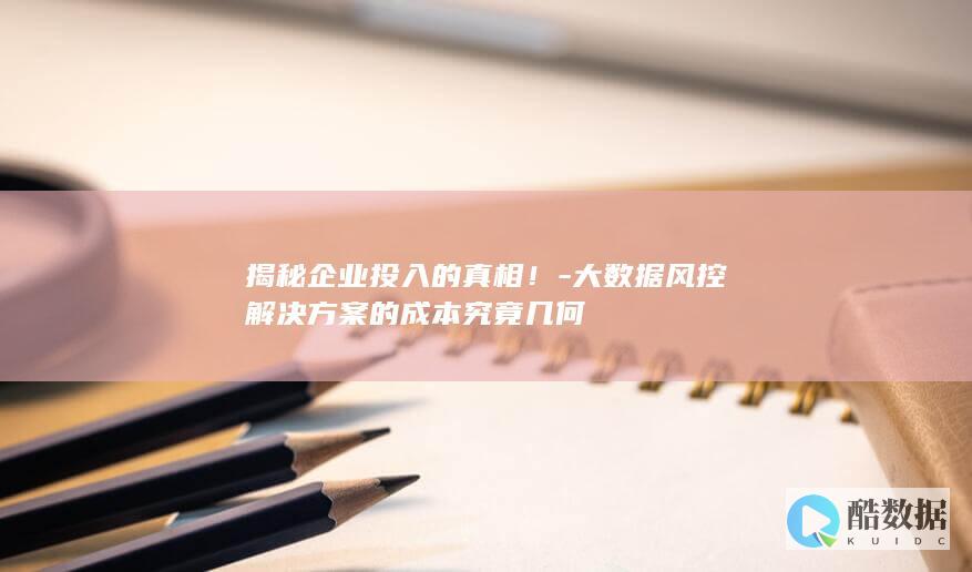 揭秘企业投入的真相！-大数据风控解决方案的成本究竟几何