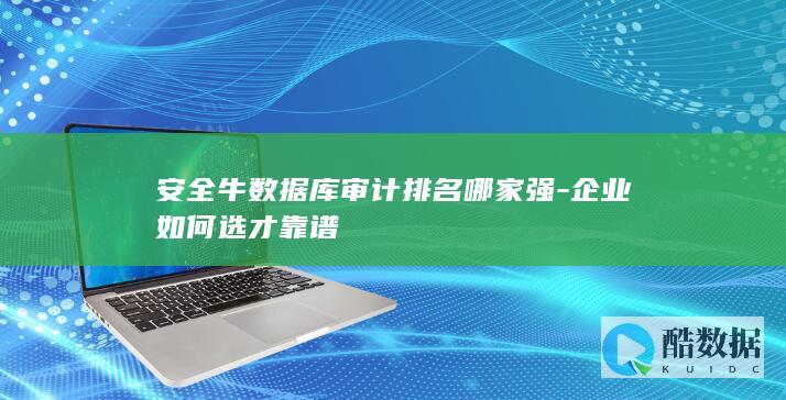 企业库审计选型