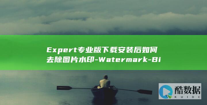 Expert专业版下载安装后如何去除图片水印-Watermark-Bitwar