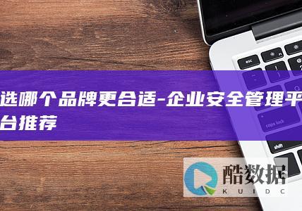 选哪个品牌更合适-企业安全管理平台推荐